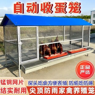 �u�\��������u�\���\�u�\���Ԅ��յ���͵�ԼӺ�WƬ�¿�