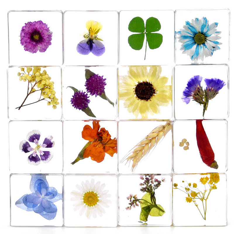 Millennium Chong Handmade Glue Embossed Kidsren's Teaching Props Plant Resin Ornaments Creative Accessories Millennium Chong Handmade Glue Embossed Kidsren's Teaching Props Plant Resin Ornaments Creative Accessories