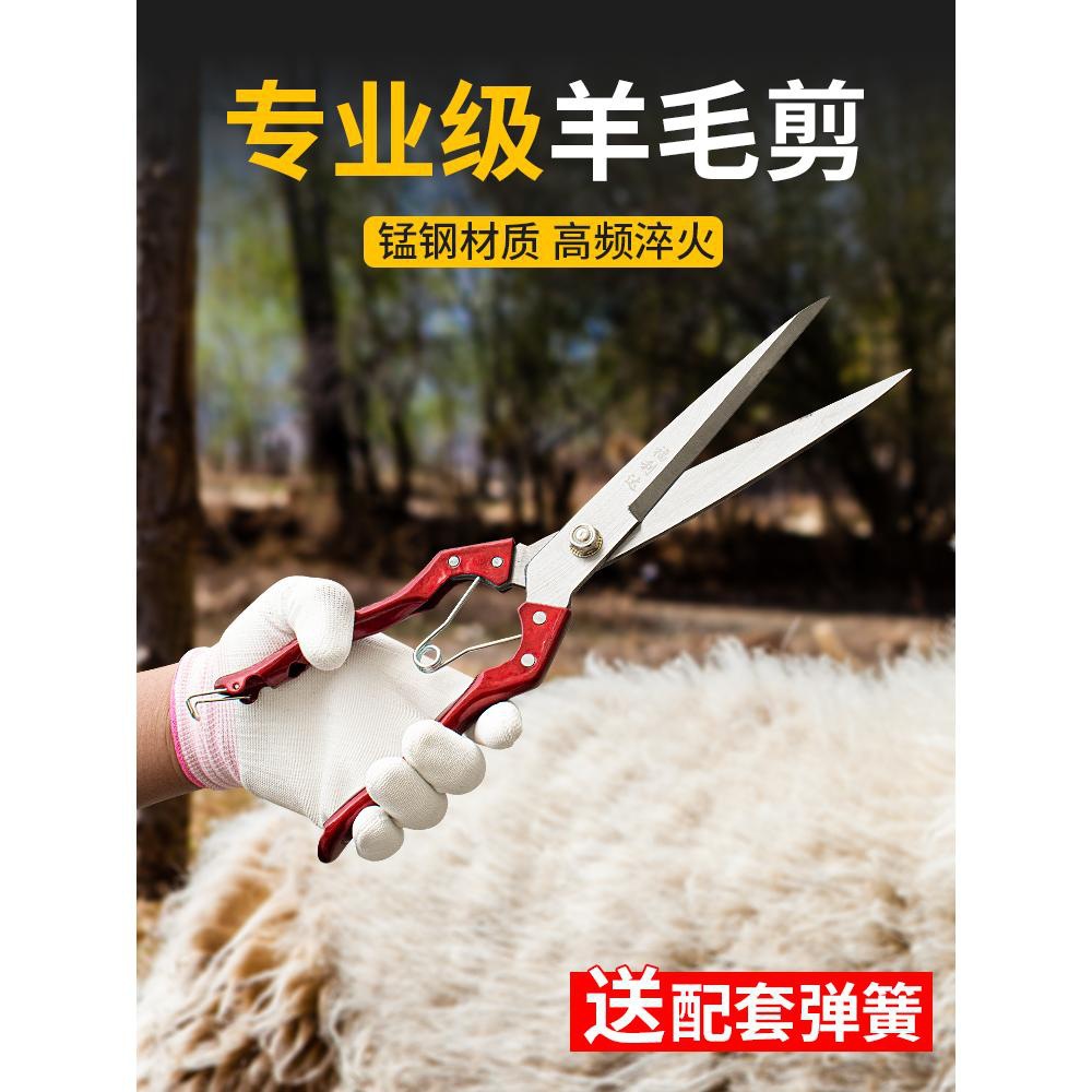 剪羊毛的剪刀手动纯手工弹簧大号家用剪子兔毛剪牛毛的工具修家用