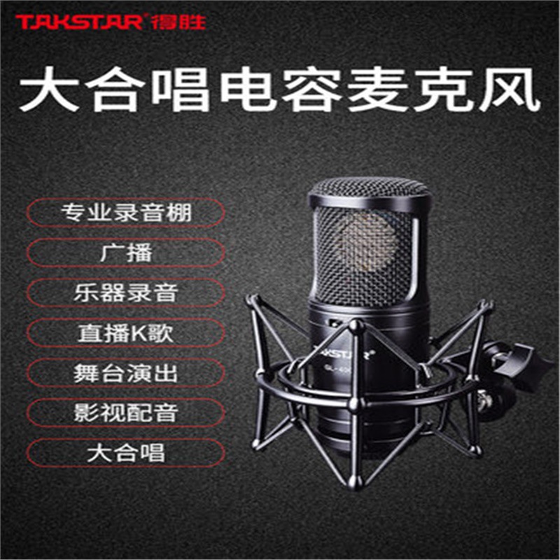 Takstar/得胜GL-400  话筒大振膜电容录音直播大合唱  麦克风