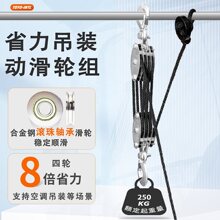 TOYOINTL8倍省力吊装动滑轮组 轴承款手拉滑轮钩空调吊装提拉