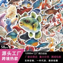 58张水彩热带鱼儿童贴纸手账笔记本文具桌面装饰跨境文创贴画批发