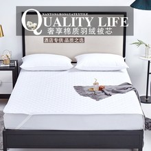 薄款榻榻米床墊褥子 隔臟防酒店民宿家用磨毛保護墊