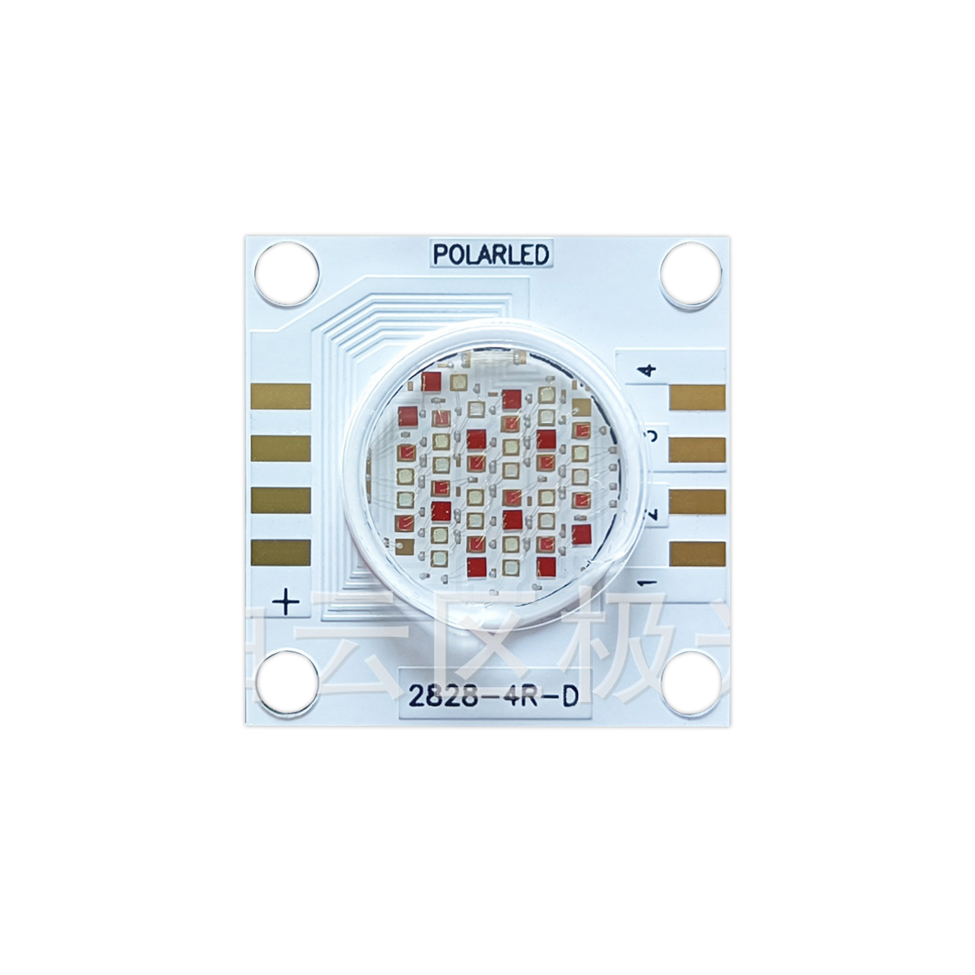 COB2828����rgbw 50W�ĺ�һ cob��Դ����led����