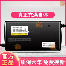适用爱玛电动车电瓶充电器48V12AH60V20AH72V30A新国标快充其他