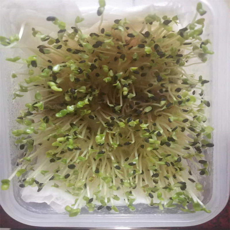 微信图片_202305110822397