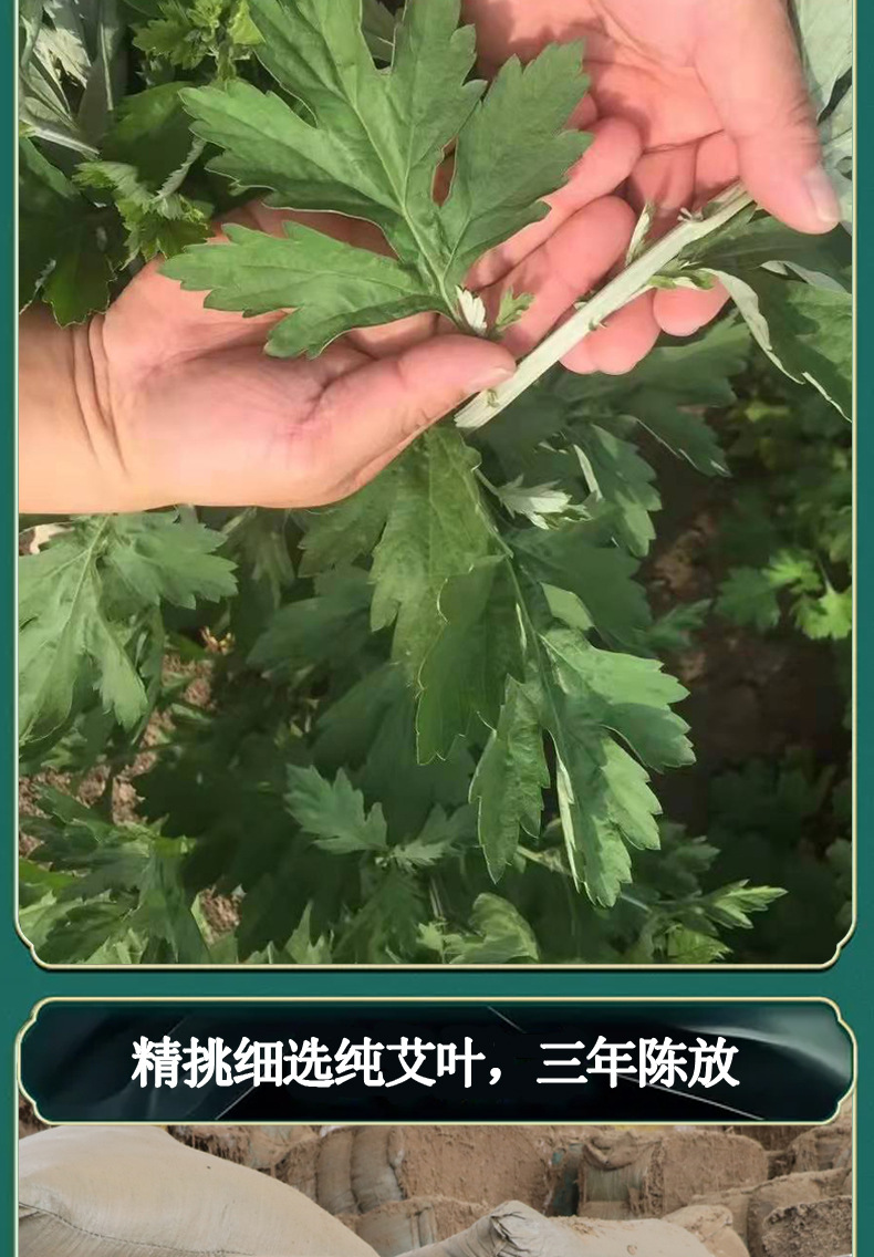 4cm Moxa Rolls Thunder Fire Moxibustion Sticks Ai Ye Paper Wrapped Nanyang Pure Mugwort specifications