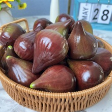 源头工厂人造水果批发 仿真无花果模型  装饰假水果蔬菜 写生道具