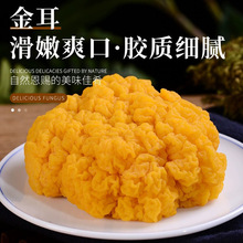 新鲜金耳菌可以吃刺身金耳羹黄金耳银耳