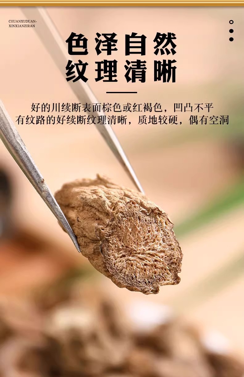 Chuan Duan Dried Sichuan Teasel Root Tea Cuts 40g Canister Hand Selected Herb in use
