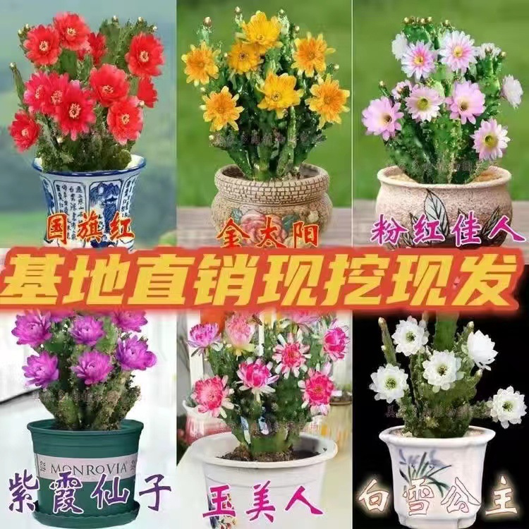 微信图片_20220920124135