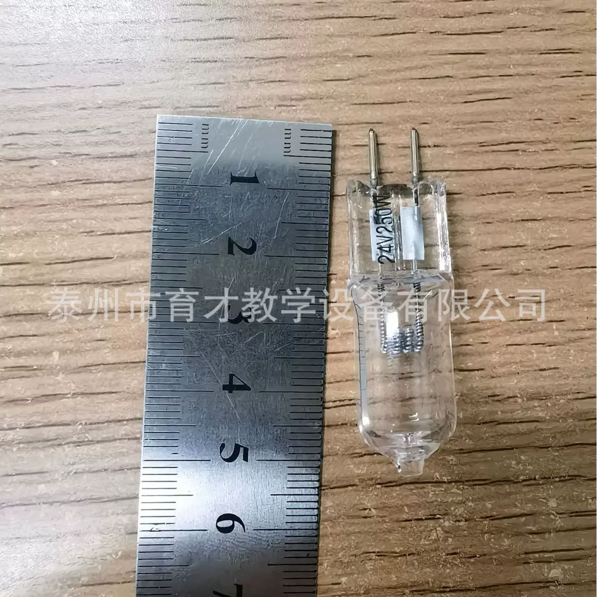 TT250书写投影仪专用灯泡24v250w教学投影器
