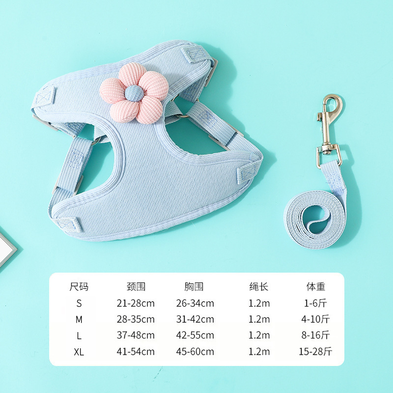 Blue sunflower + flat rope