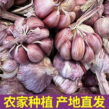 �����Ƥ�������t���^��Ʒ�|������r�߲��r���ԷN���^�N�ӱ���