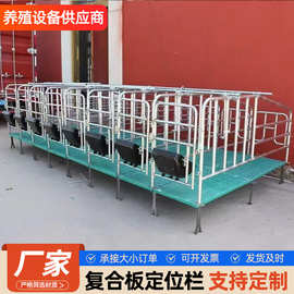 猪用限位栏母猪定位栏养殖设备加厚落地养殖场栏位复合板定位栏