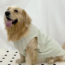 ������ͨ�·�2025������ȹ�ӌ����b�С�д���Ȯ��ë����˹����