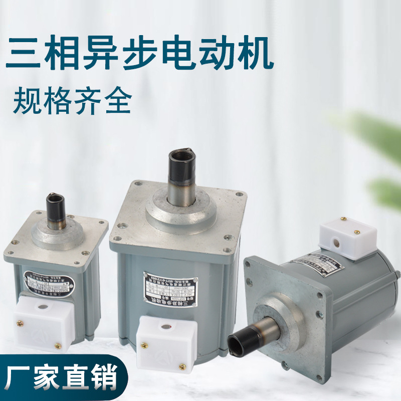 三相异步电动机YDT-80W 120W 140W 250W 抱闸制动器微型电机三相