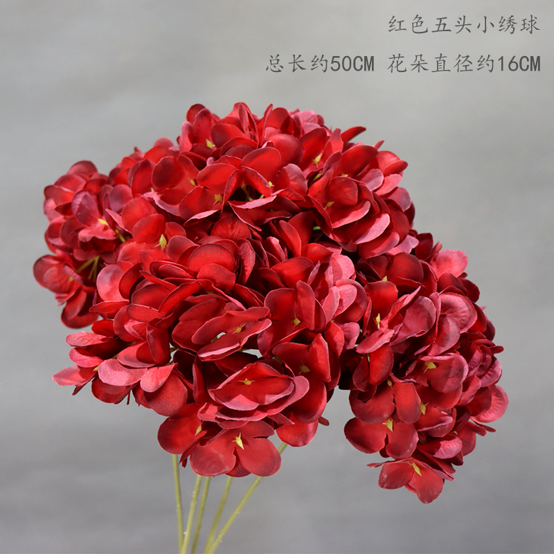 머리가 다섯 개인 붉은 수국의 가지