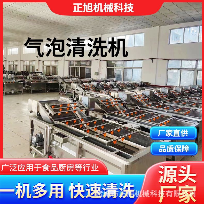 厂家供应蔬菜气泡清洗机 腌制菜果蔬清洗机 预制菜喷淋式洗菜机