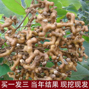 �՗������f�۹��uצ�B���h��������Ϸ��������Ե��ԷNֲ����Y��