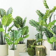 ֲ�b��Ž�����������������OӋ���҃������G�쾰������͙���