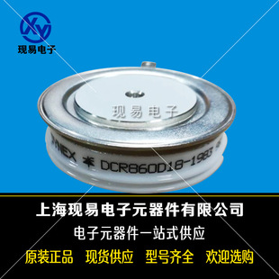 DS2007SF DS2106SY DS2906SA DSZ412SE1ȫ��Ӣ��DYNEX�������O��