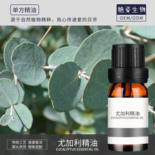 �ȼ������� �η�ֲ�ﾫ�� ��Ħȫ������Ժ �B���o�wƤ�w ���͏S��