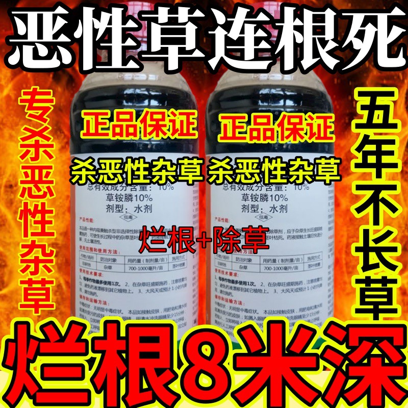 杀草快高浓度精草铵膦铵盐果园牛精草小飞蓬各种杂草恶性草连根死