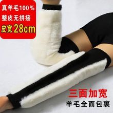 绑带三面羊毛护膝保暖老寒腿老人男女士防寒皮毛一体加宽加大加厚