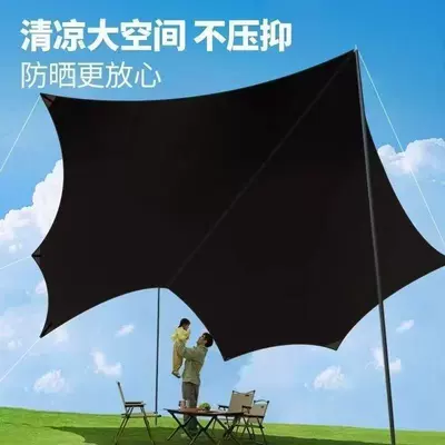 Avtomobil yan çətirləri Vinyl Canopy for Sun and