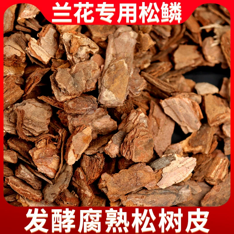 Сосновая кора, сосновая чешуя, ферментированная и гнилая