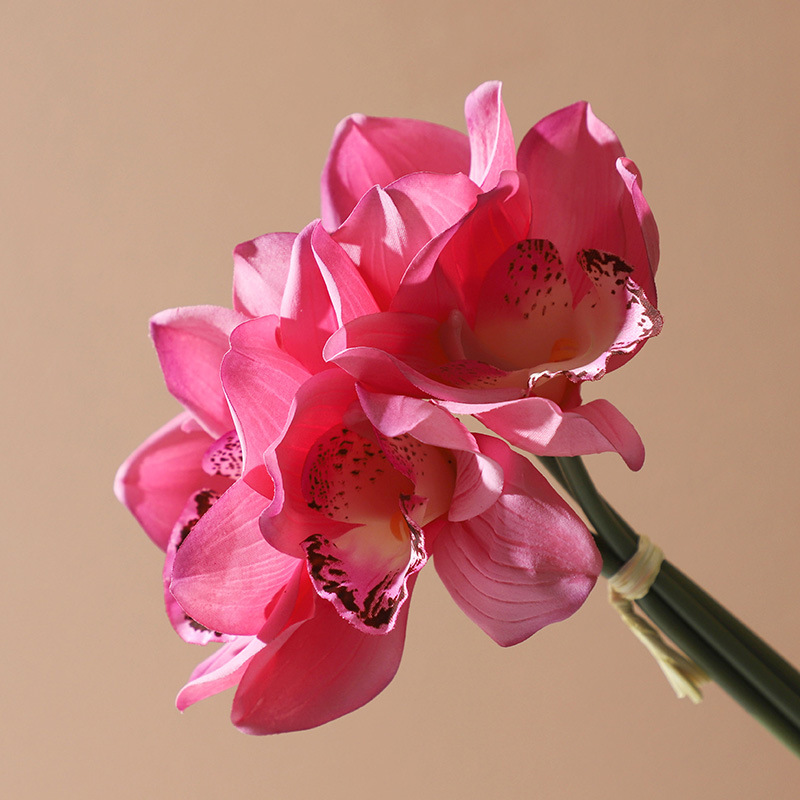 Orquídea Cymbidium falsa de alta calidad, decoración para sala de estar y bodas