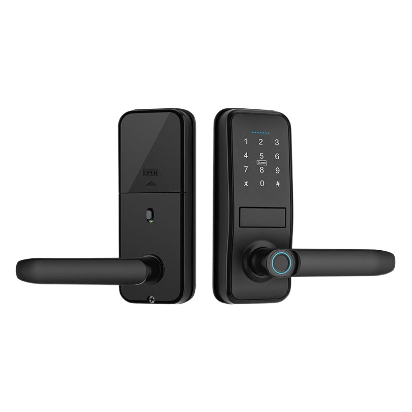 Foreign Trade Cross-border Lock Smart Fingerprint Door Lock Anti-theft Home Rental Apartment Homestay Home Remote Electronic Code Lock