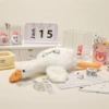 Big White Goose Pen