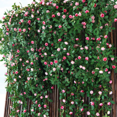 バラの花の藤の造花の藤のつるのプラスチックの花の天井のエアコンの水のパイプをシミュレーションしてベランダの装飾を遮ります。