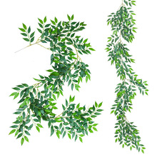 ���R�d�������Gֲ�ٗlɳ���~�ȼ������~�Gɫ�쾰�b����ٗl