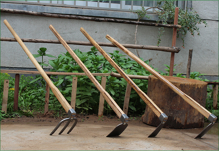 TB2rOhVChWYBuNjy1zkXXXGGpXa_!!