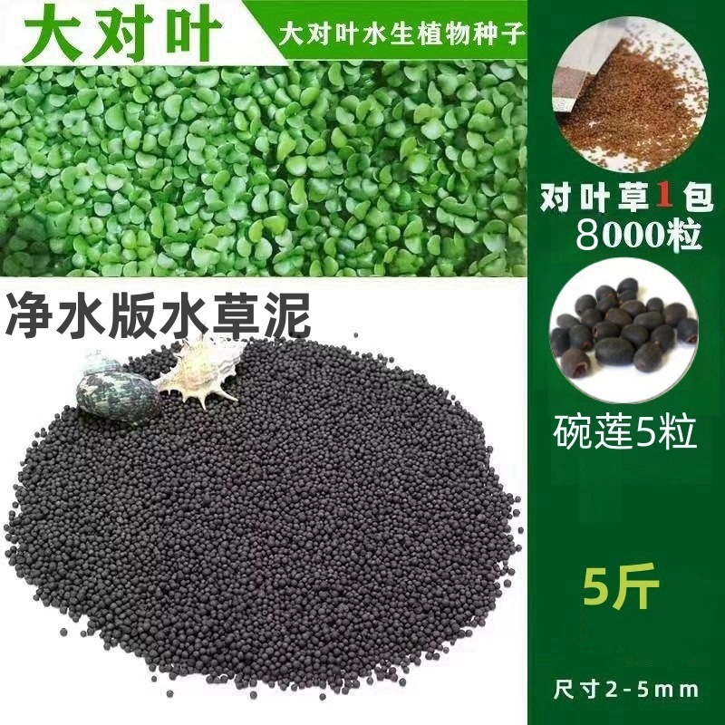 [핫세일] 워터그라스머드 2.5kg - 큰잎무료 8,000개 + 그릇연꽃 5개