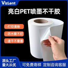 ����PET�����z��ī��ӡ����ɫ��ˮ˺����DIY�N����ճ���z�˺���