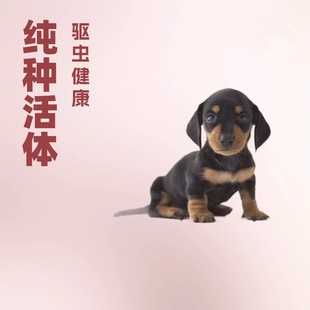 �D�cȮ��Ȯ���N���w�D�c�����ﹷ�D�c��ëȮ���BС��Ȯ��Ӗ�B