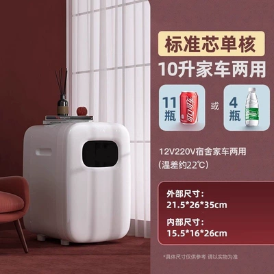 2-8 degree Celsius Chinese medicine liquid bag, refrigerated medicine storage, small household refrigerator, insulin cooler, constant temperature car refrigerator (Soyuducular) - 10-liter-single-core-model-non-adjustable-temperature-standard-refrigeration