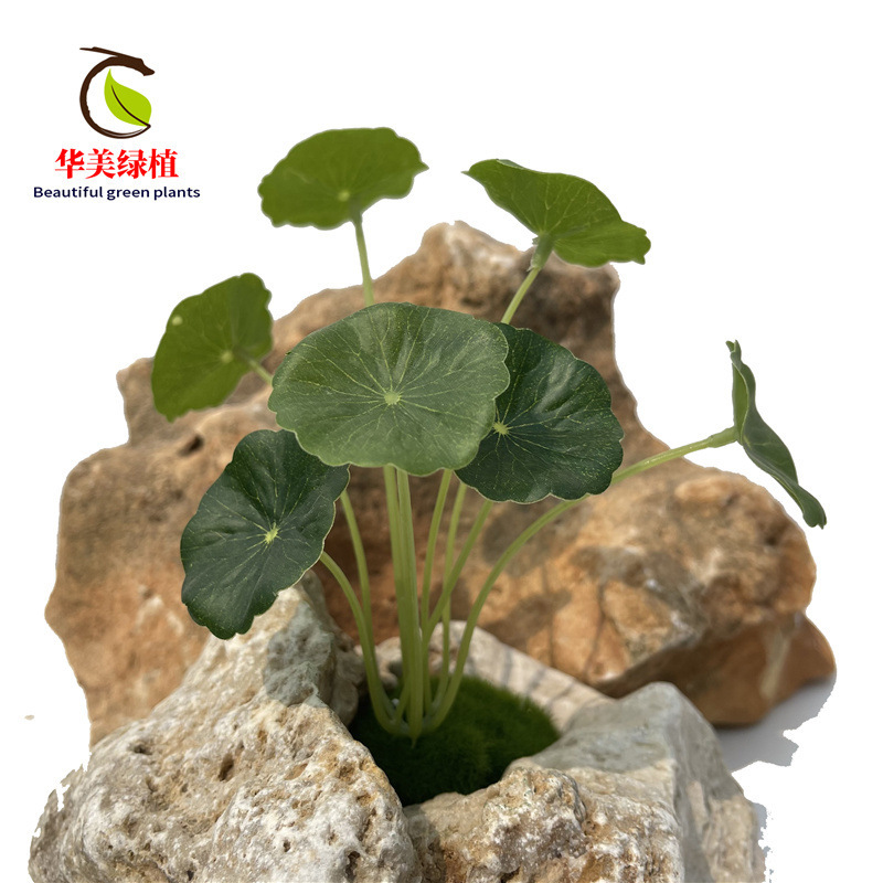 Simulation Mini small lotus leaf copper money leaf simulation false leaf green plant water potted plant decorative ornaments Simulation Mini small lotus leaf copper money leaf simulation false leaf green plant water potted plant decorative ornaments