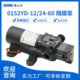 德之颂0152自动启停自吸隔膜泵60瓦流量5L/min扬程50米增压清洗泵
