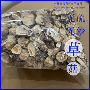 �ݹ�����Nֲɢ�b�m�������_��ɢ�b���l