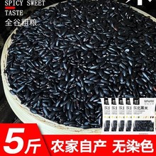 五常黑粗粮饭团粥香米农家糙米原料东北年24种五谷杂粮新米自黑米