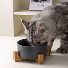 国境を越えた売れ筋のセラミック猫ボウル、猫フードボウル、犬フードボウル、ウォーターボウル、ダブルボウル、転倒防止、頚椎保護、黒あご防止