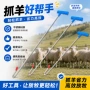 畜牧工具不锈钢羊腿