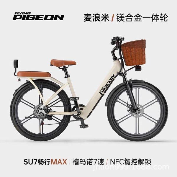Electric bike for adults
