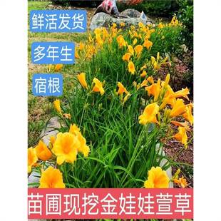 �G�������n���޸��ͺ������޻���ر�ͥԺ�̨���Ի���