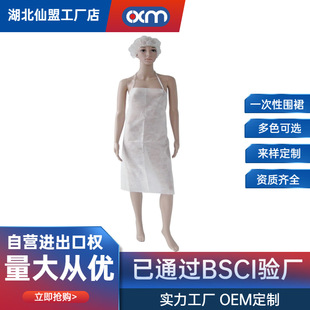 Disposable Non-Woven Apron Pp/Sms Thickeneded White Food Processing Plant Isolation Bib Custom-Made Protection